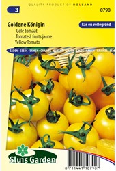 Tomato Goldene Königin
