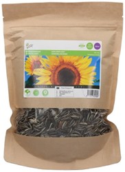 Giant Sunflower Seeds Bulk Pack - Helianthus annuus Giganteus 250 g