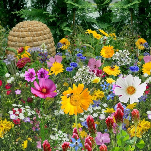 Tübingen mix for bee and butterfly EKO / 500m²