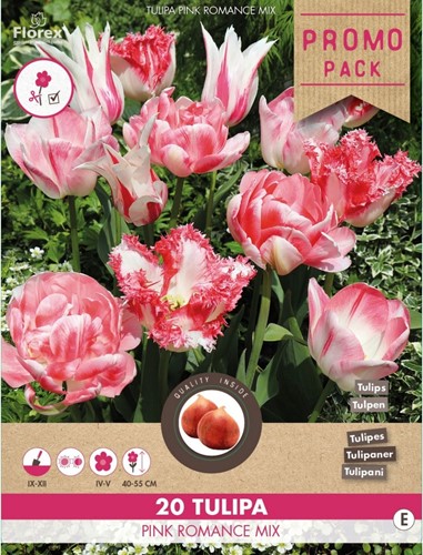 Tulips Pink Romance Mix