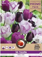 Tulips Perla Mix - Tulipa-2