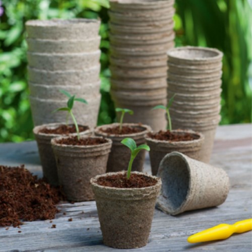 Bio-degradable seedling pots round 15 pots (8cm)