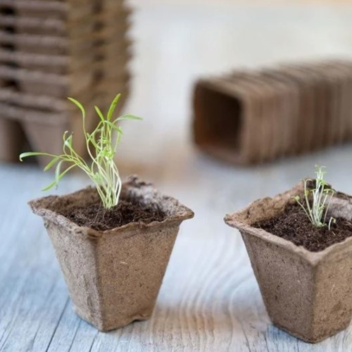 Biodegradable wood fiber seedling pots square – 15 pieces (5x5x5 cm)