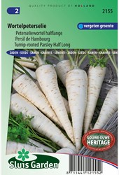 Turnip rooted Parsley - Petroselinum crisp. tuberosum
