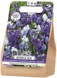 Botanical Blue Bulb Collection - Botanical Garden