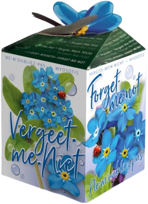 Forget-me-not Greengift