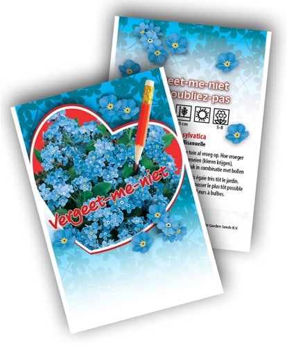 Forget-me-not - Myosotis