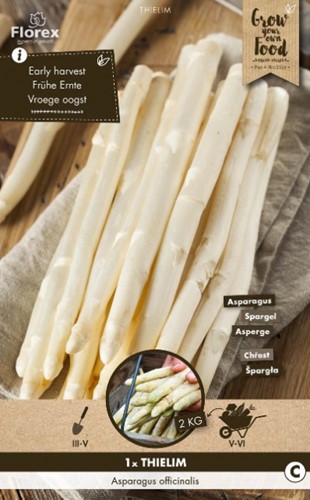 White Asparagus