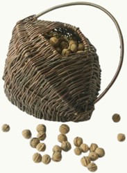 Walnut Basket - De Wiltfang
