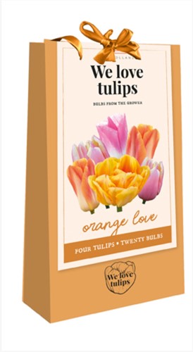 We Love Tulips - Orange Love