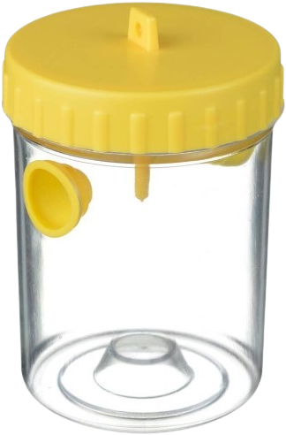 Wasp trap - Nature