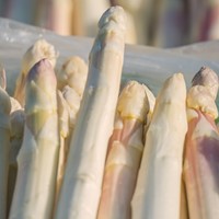 White Asparagus