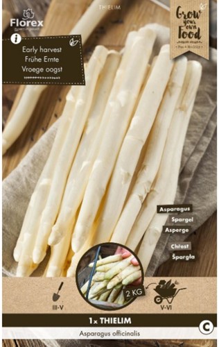 Witte Asperge - Asparagus thielim-2