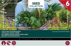 6 populair culinary herbs - Buzzy Collection