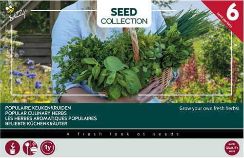 6 populair culinary herbs - Buzzy Collection