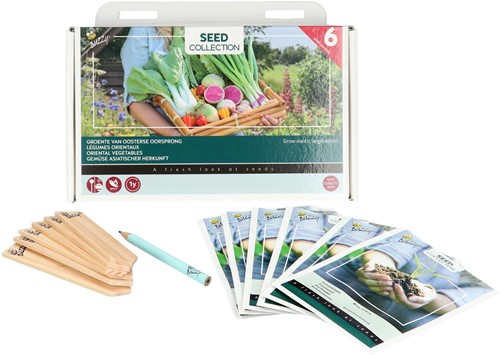 Collection 6 oriental vegetables – Buzzy Collection-2