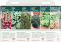 Collection 6 Hoegrown superfoods! – Buzzy Collection-3