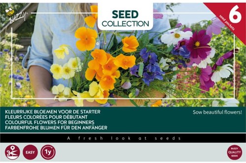 Collection 6 Colourful flowers for beginners – Buzzy Collection