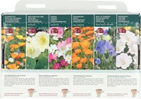 Collection 6 Colourful flowers for beginners – Buzzy Collection-3