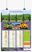 Seed Calendar Poster Dutch - Rolled