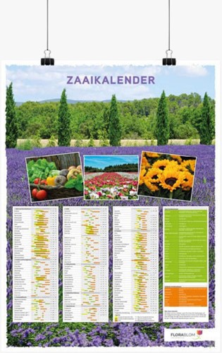 Seed Calendar Poster Dutch - Rolled