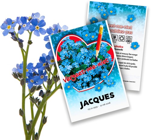 Forget-me-Not Personalized Printed Seed Packets - 250 pieces
