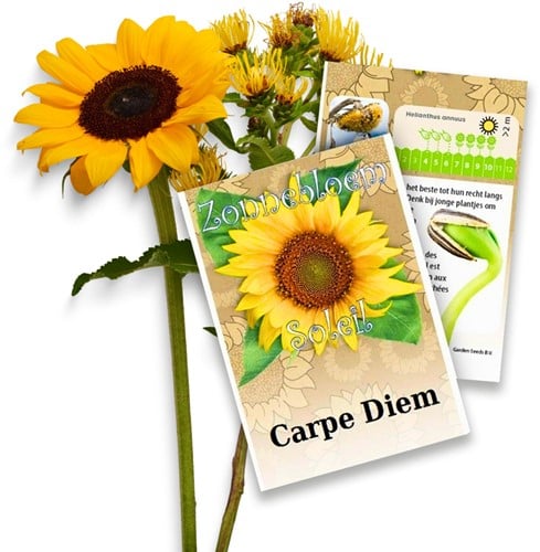 Sunflower Personalized Printed Seed Packets - 1.500 pieces