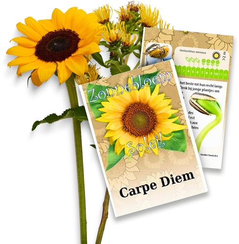 Sunflower Personalized Printed Seed Packets - 250 pieces