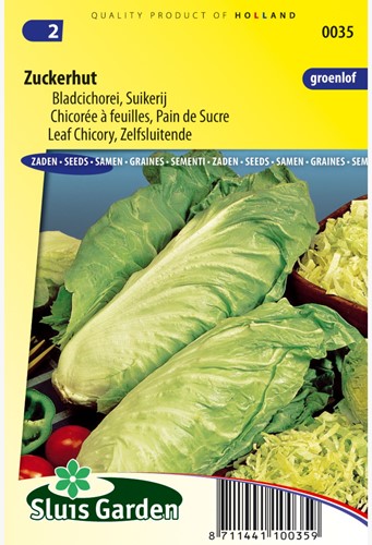 Leaf Chicory Zuckerhut